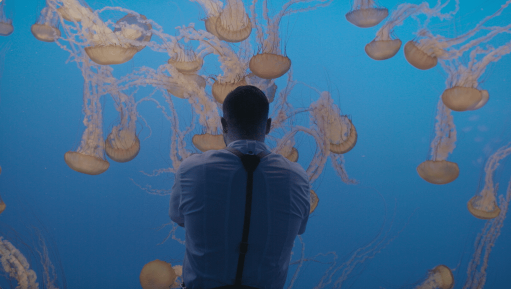 Monterey Bay Aquarium: Sustainable Culinary Events